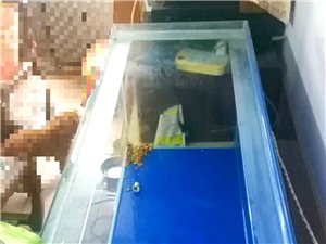 自用鱼缸9成新，尺寸100*40*45，因搬家便宜卖